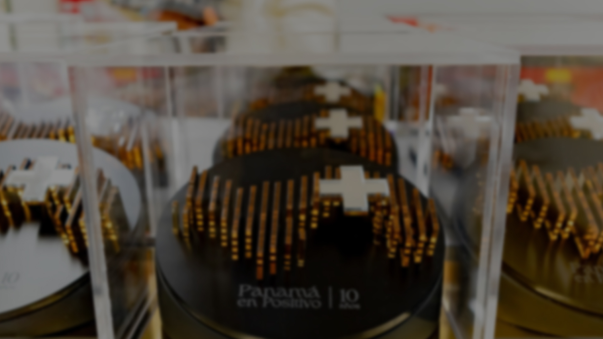 Ganadores de Premios 2024